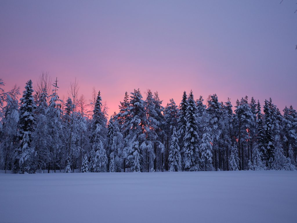 Sonnenuntergang Lappland