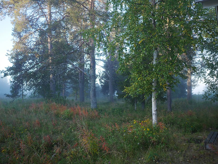 Lappland Herbst